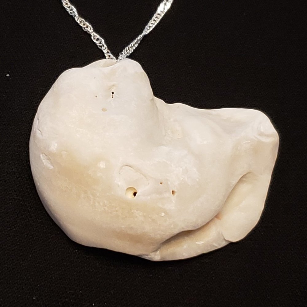 Ocean Treasures Collection artisan shell necklace w/20" 925plated Sterling chain